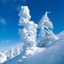 ���� ˸��, ��������������, 34 ���� - ��������� 3 ������� 2013 � ������ ���� ����������