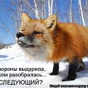 ���� *E*l*e*n*@*, ������� - ��������� 11 ������� 2014 � ������ ������ ��������