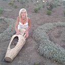 ���� ���������, �������������, 41 ��� - ��������� 26 ������� 2013 � ������ ���� ����������