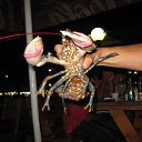 ���� �����, ������ - ��������� 25 ������ 2014 � ������ ����������� �� ����