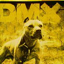  **  **,  -  15  2013    