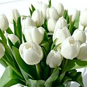 ���� *~* �������, ���������, 46 ��� - ��������� 14 �������� 2013 � ������ ���� ����������