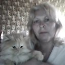 ���� �����, ������, 62 ���� - ��������� 9 ����� 2014 � ������ ���� ����������