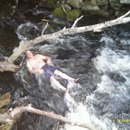 ���� �����, �����-���������, 43 ���� - ��������� 2 �������� 2013