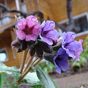 ���� ������, ������, 63 ���� - ��������� 25 �������� 2013 � ������ ���� ������� ���....�