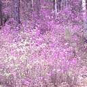 ���� �������, ����������� - ��������� 12 �������� 2013 � ������ ���� ����������