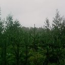 ���� ������, ������, 62 ���� - ��������� 31 ������� 2013 � ������ ���� ����������