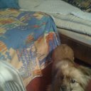 ������� �� ������� ���� ����������