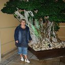 Turkey 2013 �� ������� ���� ����������