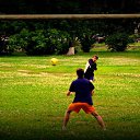 ���� �����, ���������, 36 ��� - ��������� 21 ������ 2013 � ������ ���� ����������