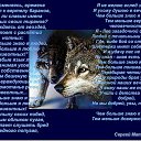 ���� ����, ��������� - ��������� 3 ����� 2014 � ������ ������ ��������