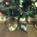 repz gjl tkjxrjq �� ������� ���� ����������