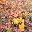 ���� �����, ������ - ��������� 22 ������� 2014 � ������ ����� �������