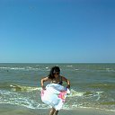 � �� ���� 2013 �. �� ������� �� ���� � �� ������