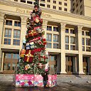 ���� ����, �����������, 51 ��� - ��������� 29 ������ 2014 � ������ ���� ����������