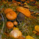 ���� ������, ����������� - ��������� 23 ������� 2013 � ������ ���� ����������