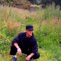 ���� ���������, �����������, 48 ��� - ��������� 22 �������� 2013