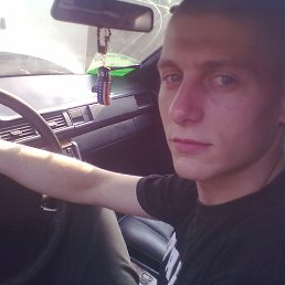 Gizmo, ������, 38 ���