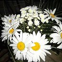 ���� �������, ������� - ��������� 2 ������ 2014 � ������ ��������))�