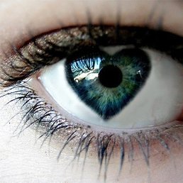 ���� ����������, ��������, 37 ��� - ��������� 6 ������� 2013