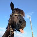 ���� �������, ���������, 52 ���� - ��������� 15 ������� 2013 � ������ ���� ����������