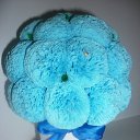 ���� ��������, ����� - ��������� 19 ������� 2013 � ������ ������� ������!�