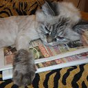 ��������� ������ �� ������� ���� ����������