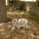 ���� ����, �����-��������� - ��������� 25 ������ 2013 � ������ ������� �� �������������.�