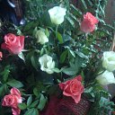 ���� �������, �����, 72 ���� - ��������� 23 ������ 2013