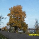 ���� Vitaliy, ����, 53 ���� - ��������� 27 ������� 2013 � ������ ���� ����������