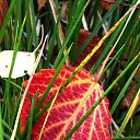 ���� �����, �����, 64 ���� - ��������� 30 ������ 2013 � ������ ��Ψ�