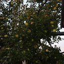 ������ "�����" �� ������� ���� ����.�