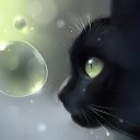 ���� ��������, ������ - ��������� 27 ������� 2013 � ������ ���� ����������
