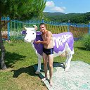 ���� ������, ��������, 36 ��� - ��������� 15 ������ 2013 � ������ ���� ����������