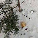 ���� �����, ������ - ��������� 11 ������� 2014 � ������ ������