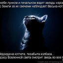 ���� ������, ���������� �����, 45 ��� - ��������� 14 ������ 2014 � ������ ������