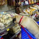 ���� ���������, ���������������, 61 ��� - ��������� 4 ������� 2014 � ������ �������