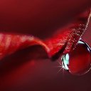 ���� Asssssssssollllllll, ����������� - ��������� 25 ������ 2014 � ������ ���� ����������