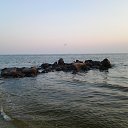 ���� ���, ����������, 39 ��� - ��������� 13 ������� 2013