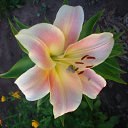 ���� �������, ������� - ��������� 21 ������� 2014 � ������ ������