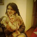 ���� �����, ����� - ��������� 27 ������ 2014 � ������ �New�