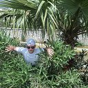 ���� ������, �����������, 41 ��� - ��������� 3 ������ 2013 � ������ ���� ���� ������