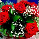���� Nika, ������������ - ��������� 6 ������ 2013 � ������ ���� ����������