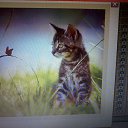 �������.������ 2013�. �� ������� ���������