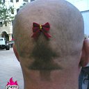 ���� ���������, ���������, 45 ��� - ��������� 25 ������� 2013 � ������ ���� ����������