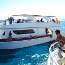 ���� �������, ���������, 36 ��� - ��������� 24 ������ 2013 � ������ ���� ����������
