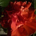 ���� �������, ����������� - ��������� 6 ������ 2013 � ������ ���� ������ ���