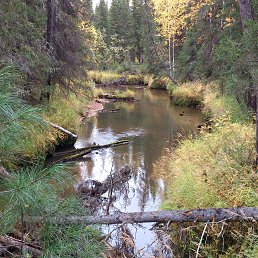 ���� ������., ������, 51 ��� - ��������� 11 ������ 2013