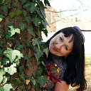 ���� ��������, ���������, 52 ���� - ��������� 8 ������� 2013 � ������ ���� ����������