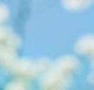 ���� �����, ���� - ��������� 26 ������� 2014 � ������ ���� ����������